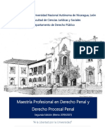 Maestria_DerechoPenal_DerechoProcesal Penal (1).pdf
