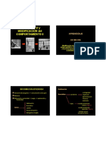 Desarrollo y modif del comp II