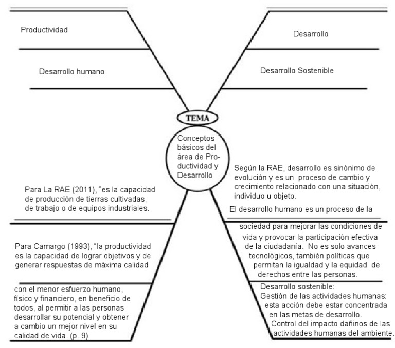 Mapa Conceptual Araña | PDF