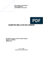 Diabetes Mellitus en Caninos