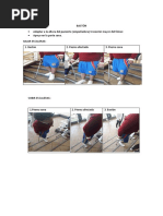 Escala de Bromage | PDF