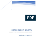 Microbiología, Referido A La Filogenia - GABINETE II