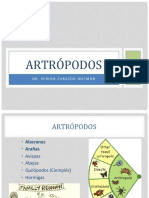 Artrópodos Alacranes Arácnidos_ALUMNOS
