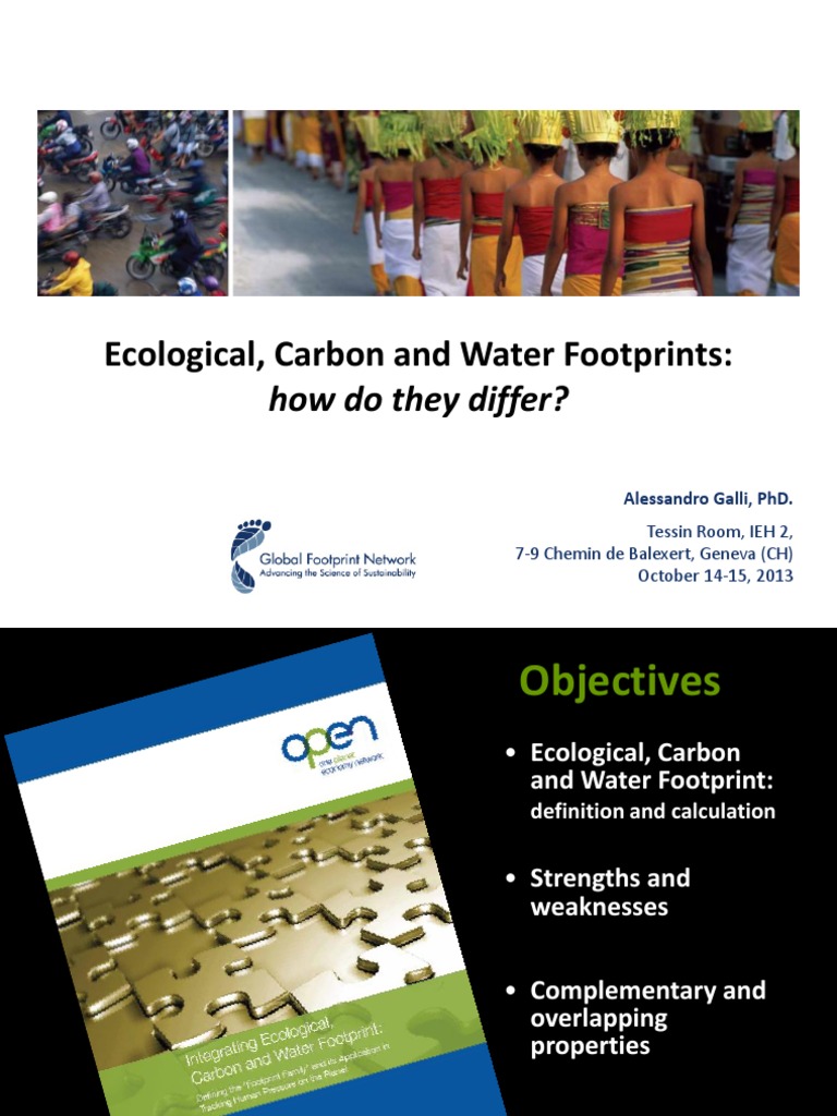 Understanding Footprint Metrics | PDF | Greenhouse Gas | Carbon Footprint