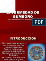 GUMBORO- E. A.
