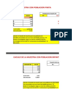 Calculo Muestra Poblacional-3