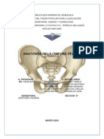Cintura Pelvica (1).pdf