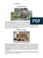 Penyebaran Fauna Di Indonesia