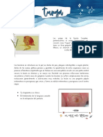 Tunga PDF