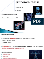 Anatomie - Topografie