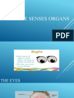 The Five Senses Organs