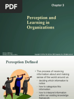 Perception and Learning in Organizations: Mcgraw-Hill/Irwin Mcshane/Von Glinow Ob 5E