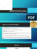 Morfofisiologia PDF
