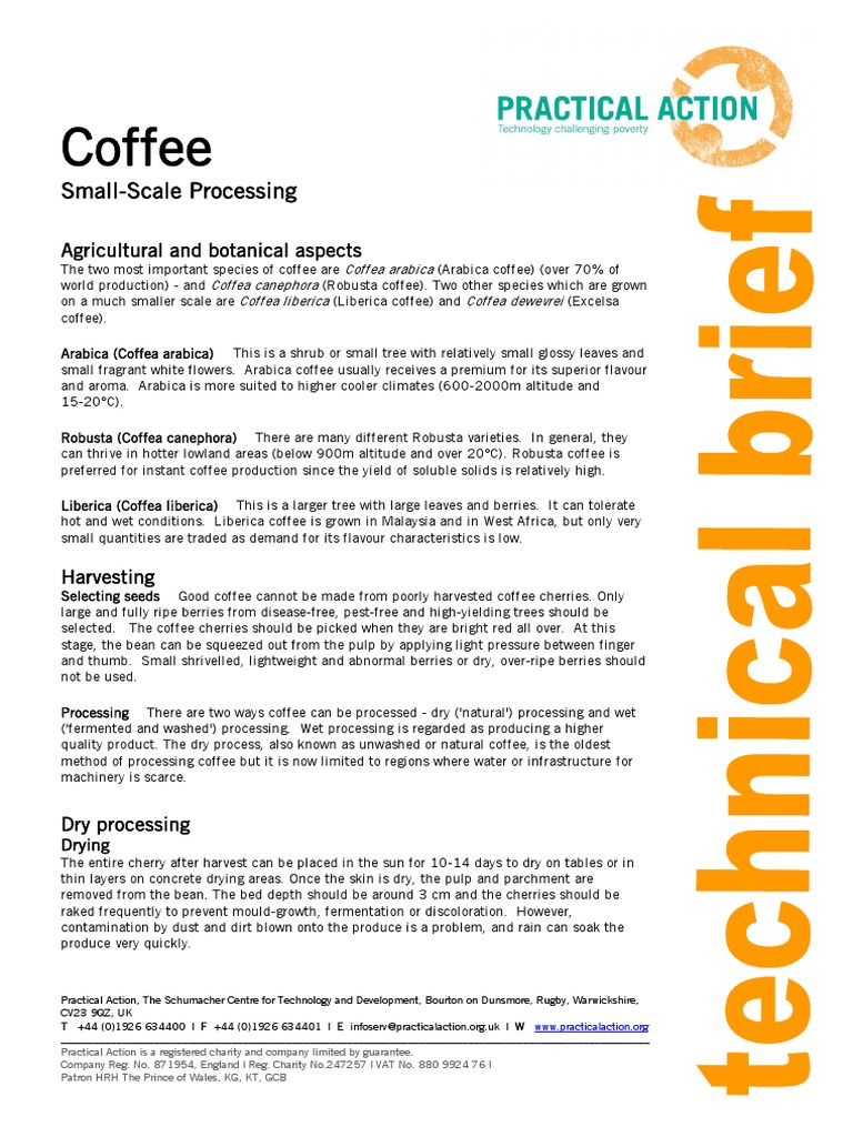 Coffee Processing | PDF | Freeze Drying | Coffee