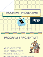Programi I Projektimit