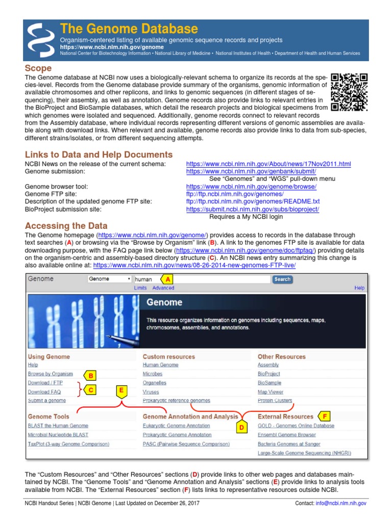 Factsheet: Genome Database | PDF | National Center For Biotechnology ...