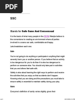 Safe Sane And Consensual.pdf