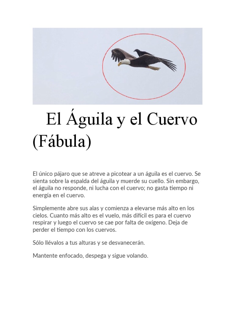 Aguila + Cuervo | PDF