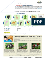Semana 29: Complete The Sentences About The Animals in The Picture. Number 1 Is The Example
