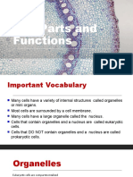 Cell Parts and Functions