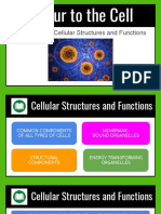 Lesson 3. Cellular Structures and Functions