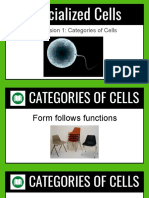 Types of Specialized Cells - Prokaryotes vs Eukaryotes