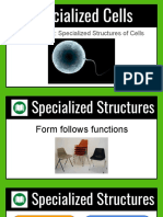 Lesson 2. Specialized Structures