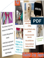 Tarea 2 Animals PDF
