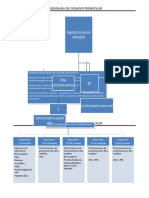 Cuidados PRENATALES FLUJOGRAMA
