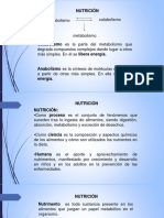Absorción de Macromoléculas 1 PDF