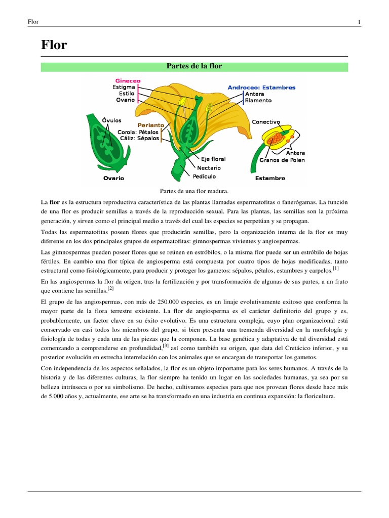 Partes de la Flor para Niños | PDF | Flores | Botánica