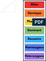 Genetics Foldables 1