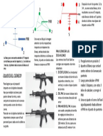 Actividad Cereo Del Fusil