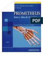 TOMO 1 - Prometheus, Texto y Atlas de Anatomia - Tomo 1 Anatomia General y Aparato Locomotor - Schünke1° Ed PDF