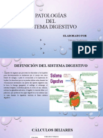 Patologías del sistema digestivo: Cálculos biliares, apendicitis y gastroenteritis