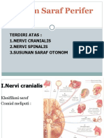 anatomi Sistem saraf perifer 2003