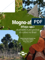 Mogno-Africano-08-10-2019.pdf
