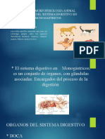 TALLER 1 MORFOFISIOLOGIA ANIMAL.pptx