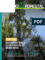 N35 Mundo Forestal PDF
