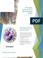 Principios básicos de la dermatología felina ACTUALIZADO 2020.pdf