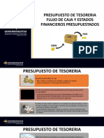 Presupuesto de Tesoreria