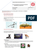 Guía Fase 7 Grado Tercero PDF