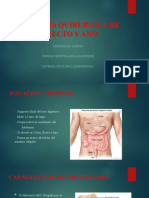 Anatomía Quirúrgica de Colon, Recto y Ano