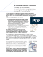 Regulación hormonal del metabolismo