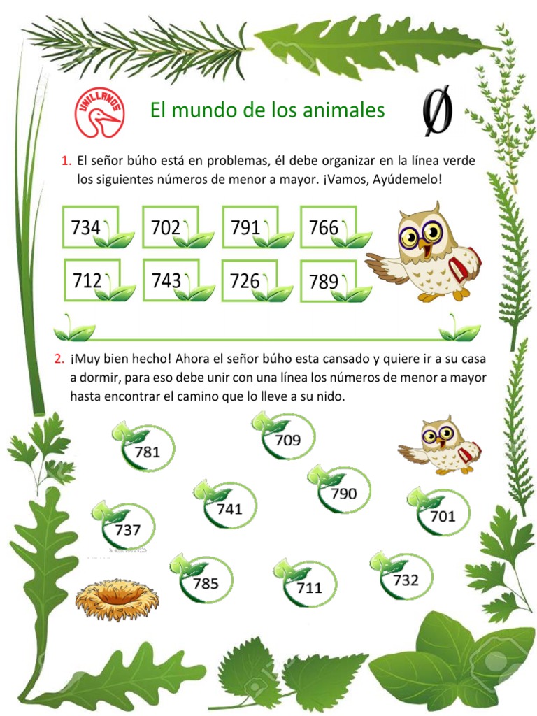 Ayuda al búho a ordenar números | PDF | Hogar, jardinería y bricolaje