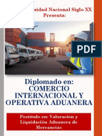 Dip Comercio Int. y Operativa Aduanera