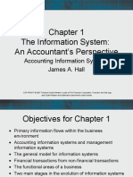 IS The Accountants Perspective Summary