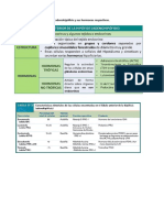 Histologia, Glandula Tiroides y Paratiroides