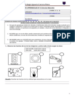 Clase 6 - Ciencias