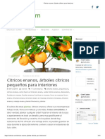 Cítricos enanos_ árboles cítricos para interiores.pdf